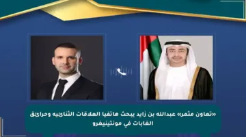 «تعاون مثمر» عبدالله بن زايد يبحث هاتفيا العلاقات الثنائية وحرائق الغابات في مونتينيغرو